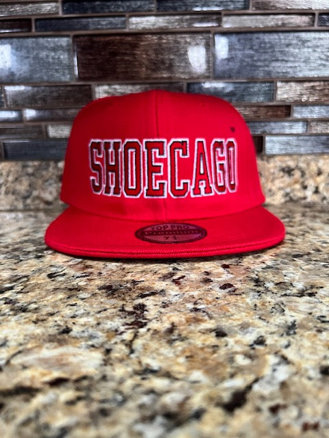 Shoecago Fitted Hat